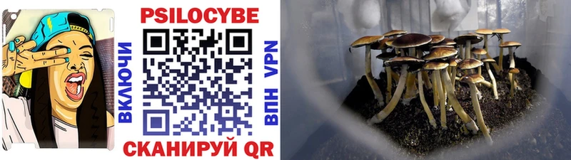 Псилоцибиновые грибы мухоморы  Зверево 